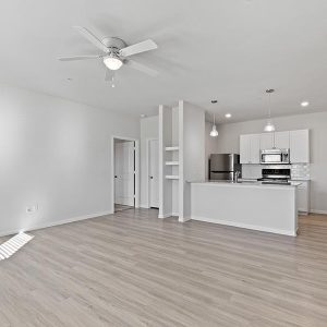 Model Unit Living Space