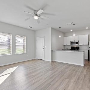 Model Unit Living Space